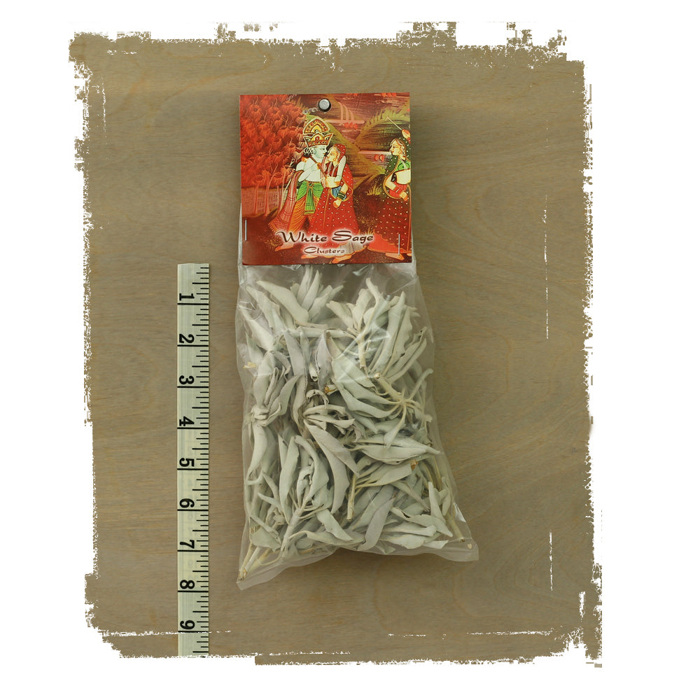 White Sage Smudge Clusters - 2oz bag - Wholesale and Retail Prabhuji's Gifts