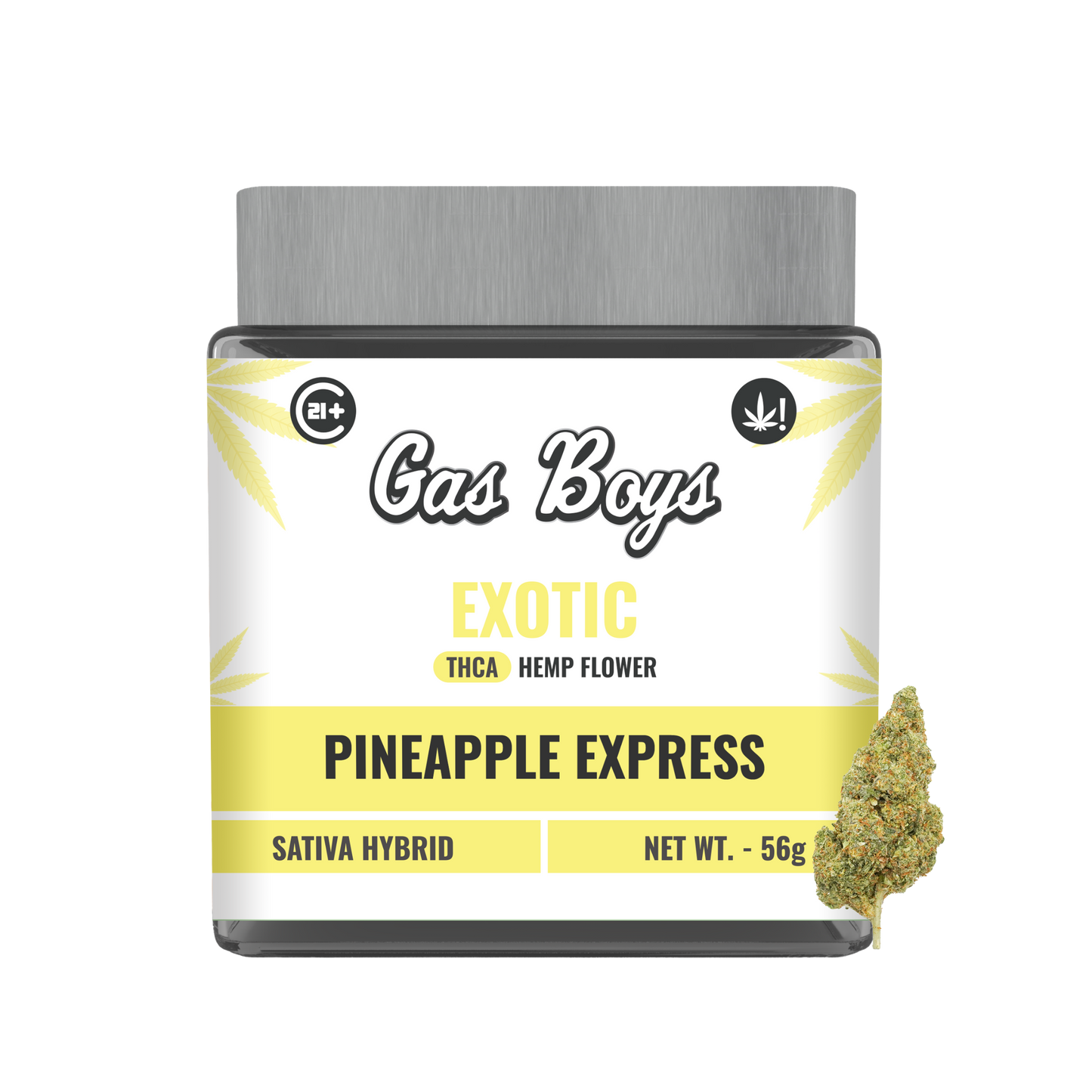 EXOTIC THCA FLOWER JAR - Pineapple Express - Sativa Hybrid - Tree Spirit Wellness