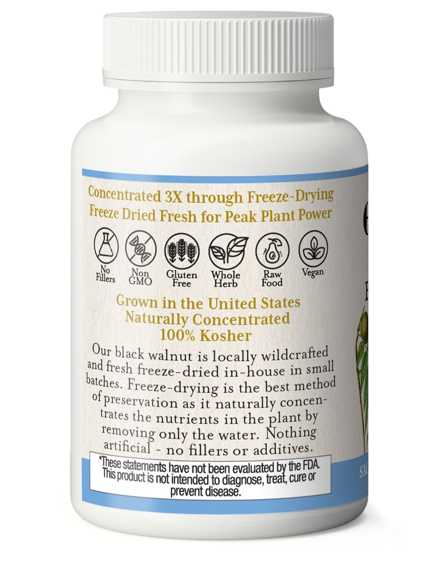 BLACK WALNUT CAPSULES - Tree Spirit Wellness