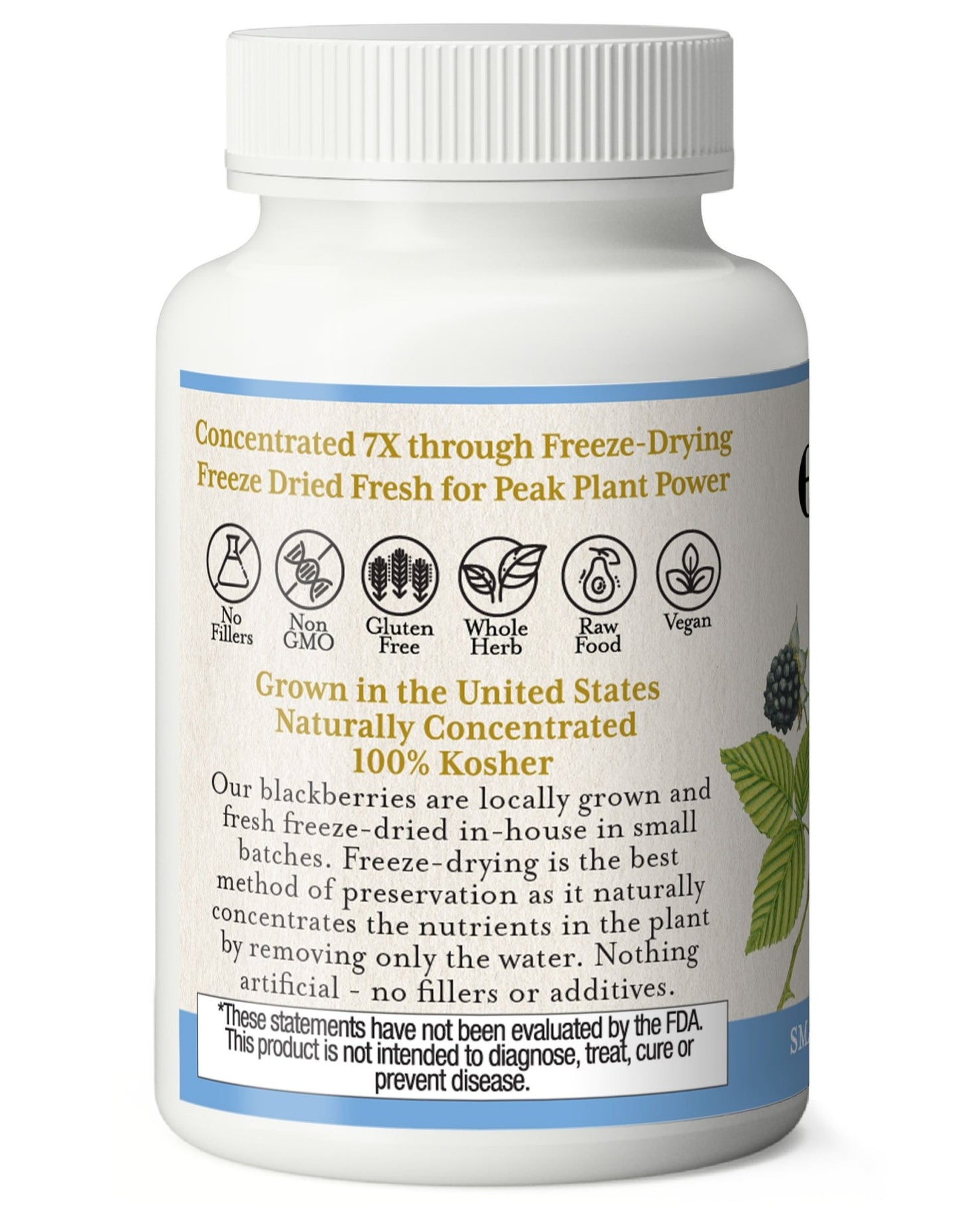 BLACKBERRY CAPSULES - Tree Spirit Wellness