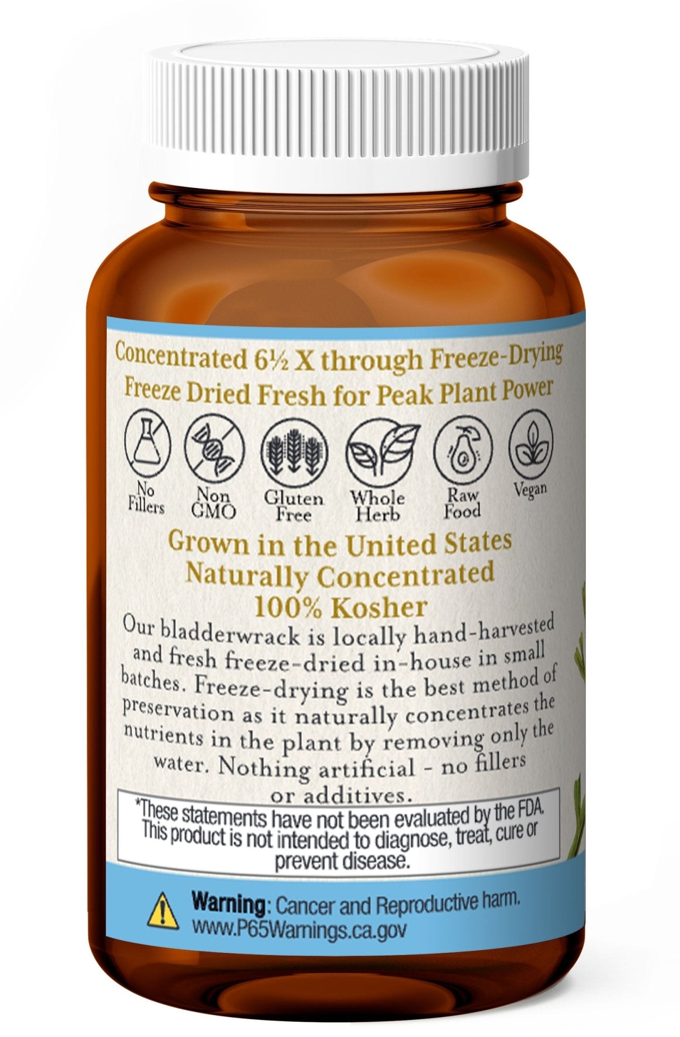 BLADDERWRACK CAPSULES - Tree Spirit Wellness