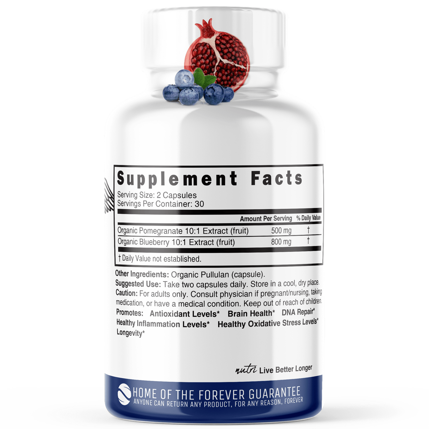 Blueberry & Pomegranate Extracts 1300mg - ORGANIC - Tree Spirit Wellness