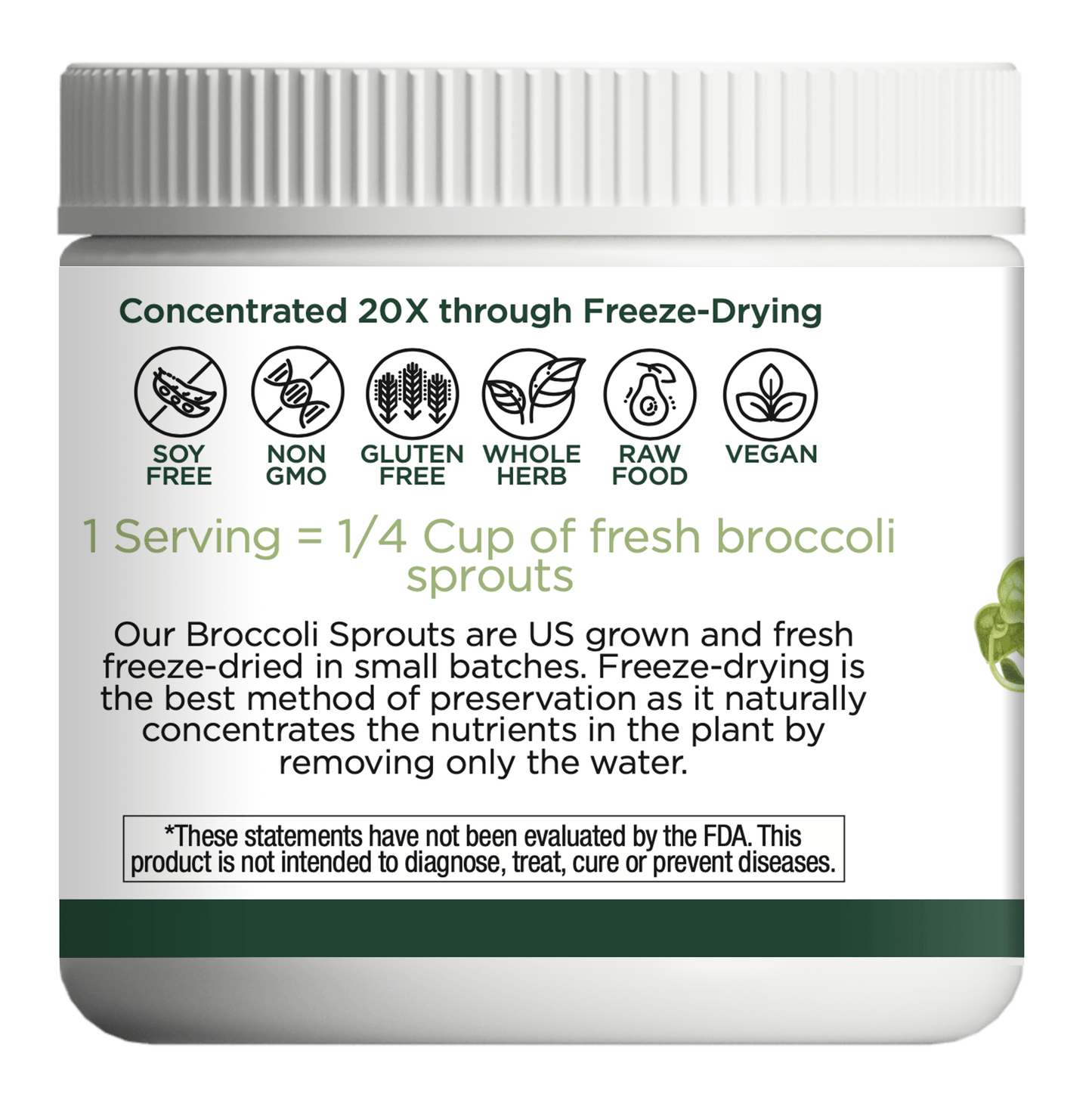BROCCOLI SPROUTS POWDER - Tree Spirit Wellness