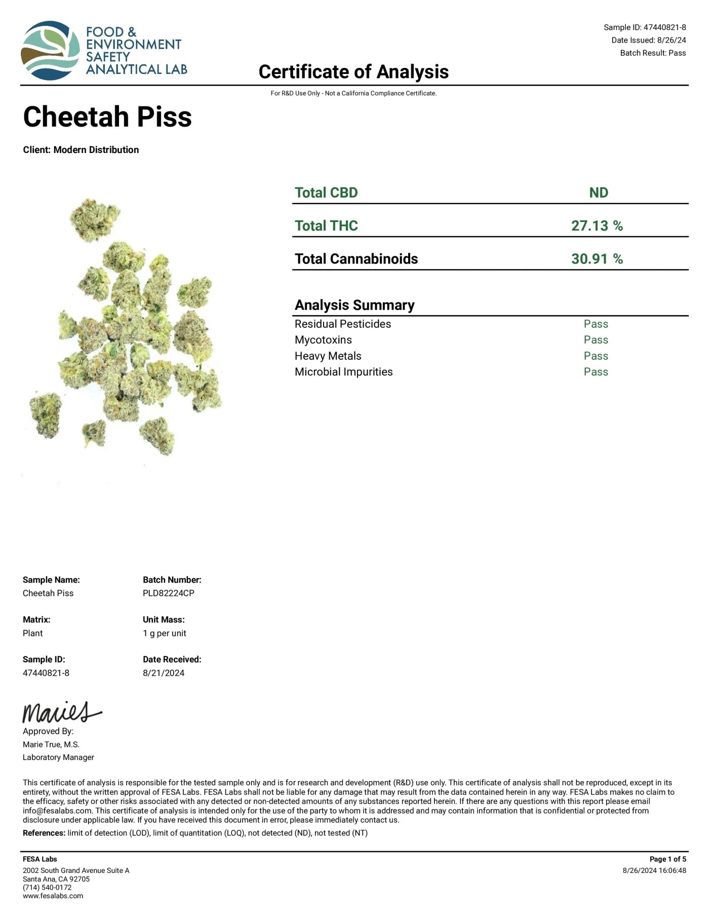Cheetah Piss BOUTIQUE THCA FLOWER - Hybrid (8ct) - Tree Spirit Wellness