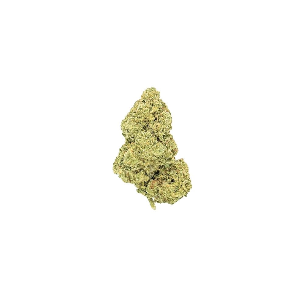 Cheetah Piss BOUTIQUE THCA FLOWER - Hybrid (8ct) - Tree Spirit Wellness