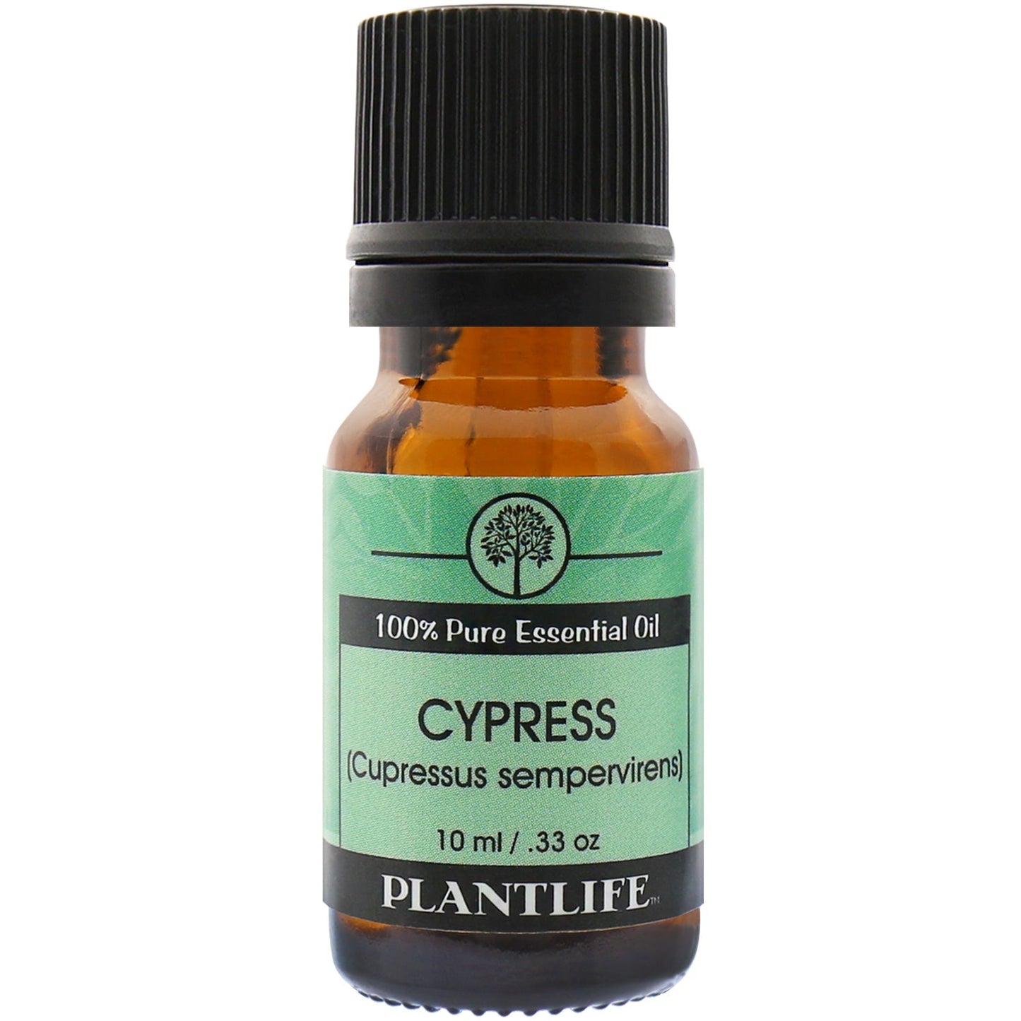 Cypress Essential Oil - Tree Spirit Wellness