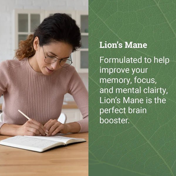 Earth Harmony - Lion's Mane - Tree Spirit Wellness