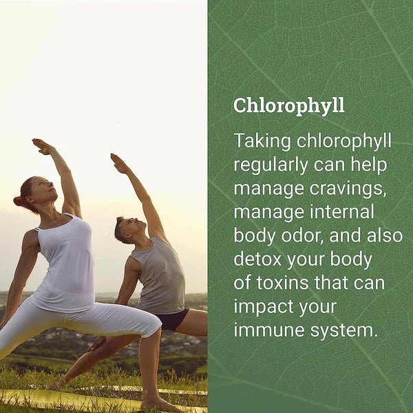 Earth Harmony - Liquid Chlorophyll - Tree Spirit Wellness