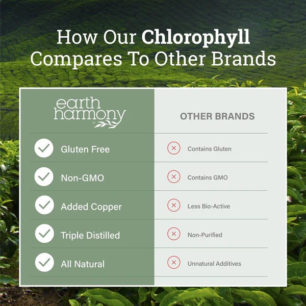 Earth Harmony - Liquid Chlorophyll - Tree Spirit Wellness