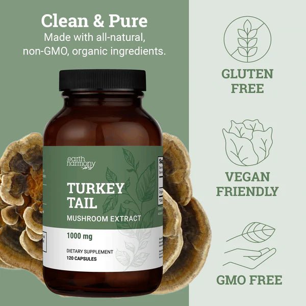Earth Harmony - Turkey Tail - Tree Spirit Wellness