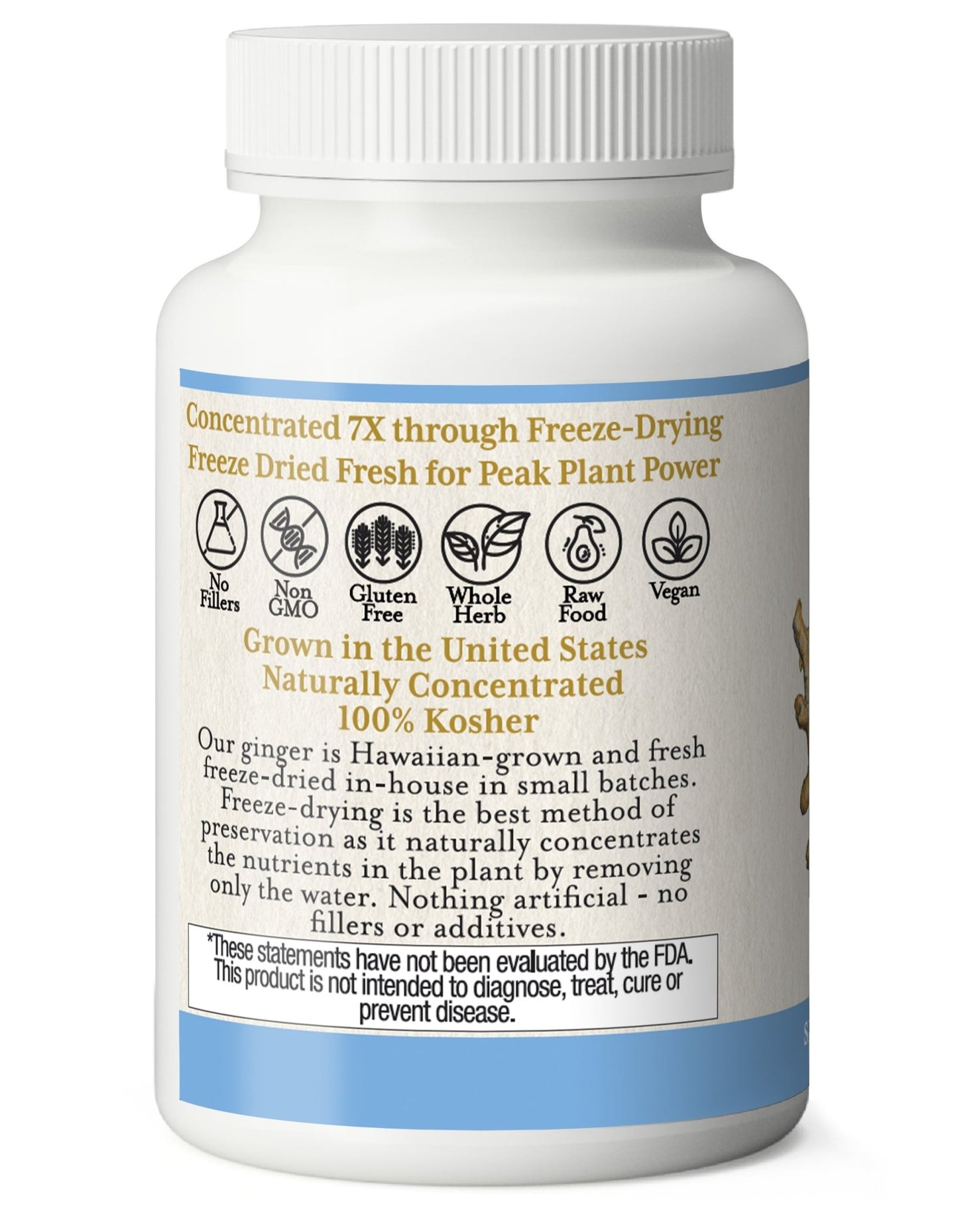 GINGER CAPSULES - Tree Spirit Wellness