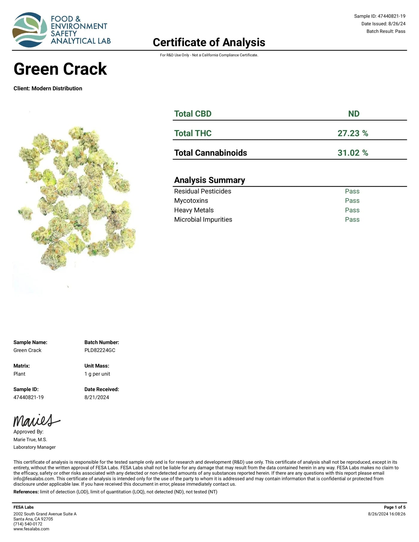 Green Crack BOUTIQUE THCA FLOWER - Sativa (8ct) - Tree Spirit Wellness