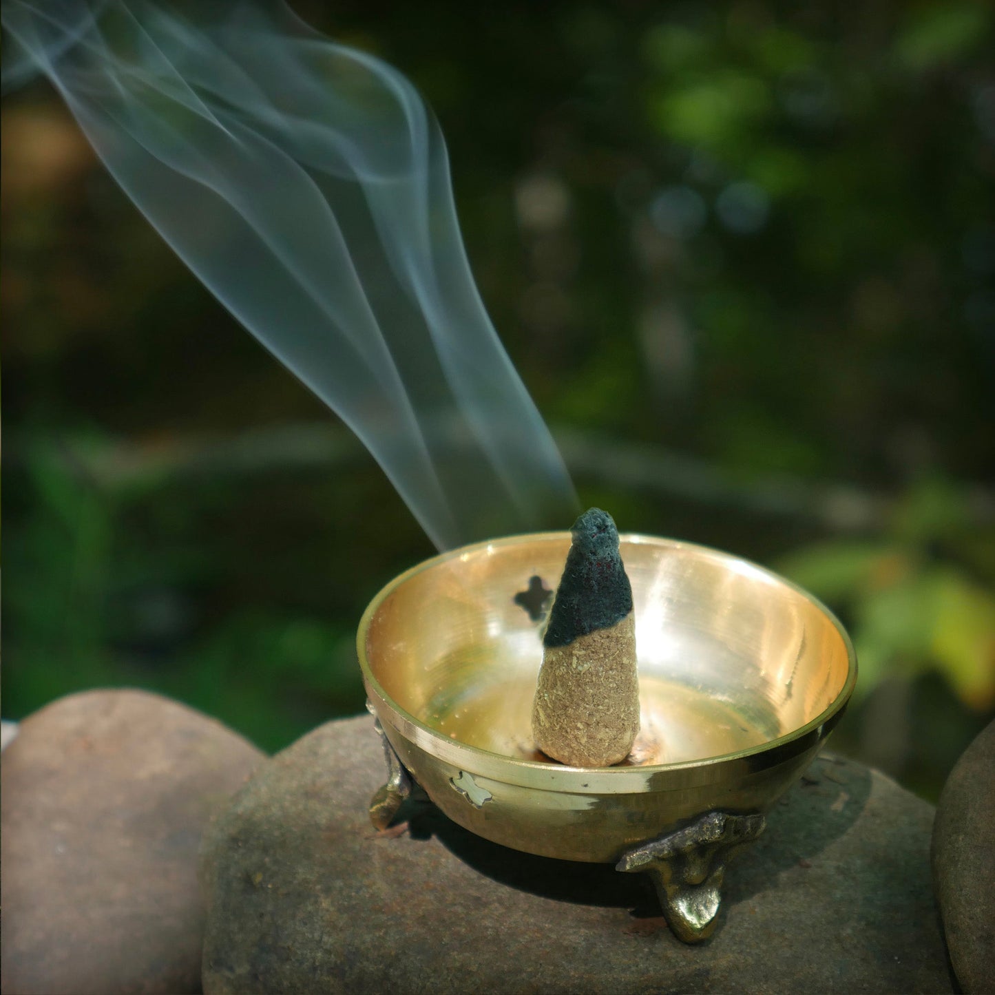 Kit - Palo Santo Cinnamon Cones with Burner - Tree Spirit Wellness