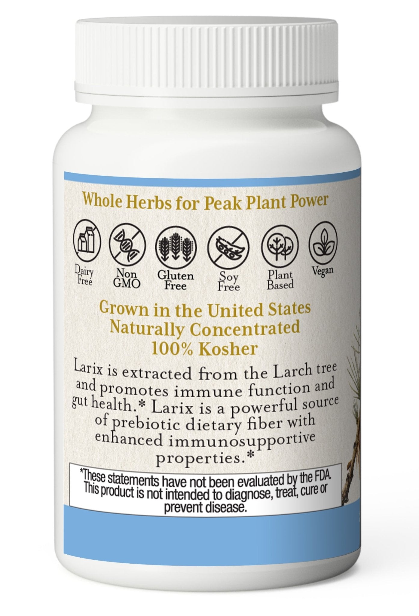 LARIX CAPSULES - Tree Spirit Wellness