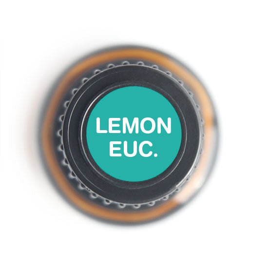 Lemon Eucalyptus Essential oil - 15ml - Tree Spirit Wellness