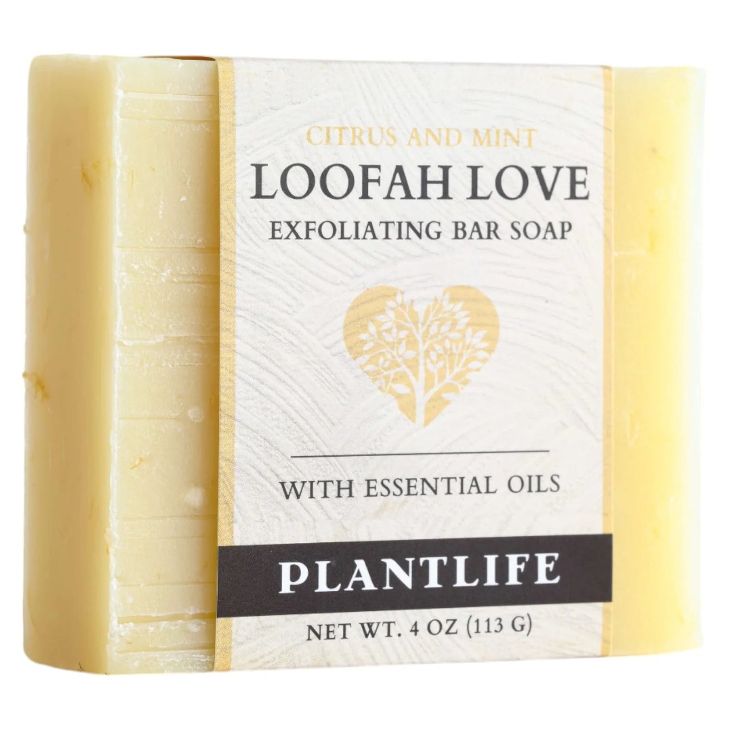 Loofah Love Exfoliating Bar Soap - box of 6 - Tree Spirit Wellness