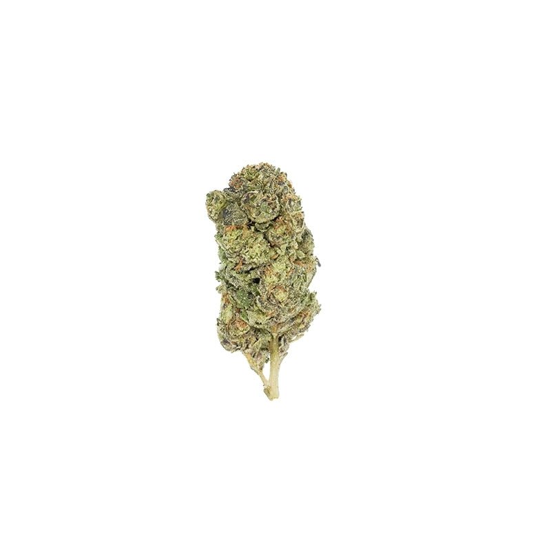 MAUI WOWIE BOUTIQUE THCA FLOWER - Sativa (8ct) - Tree Spirit Wellness