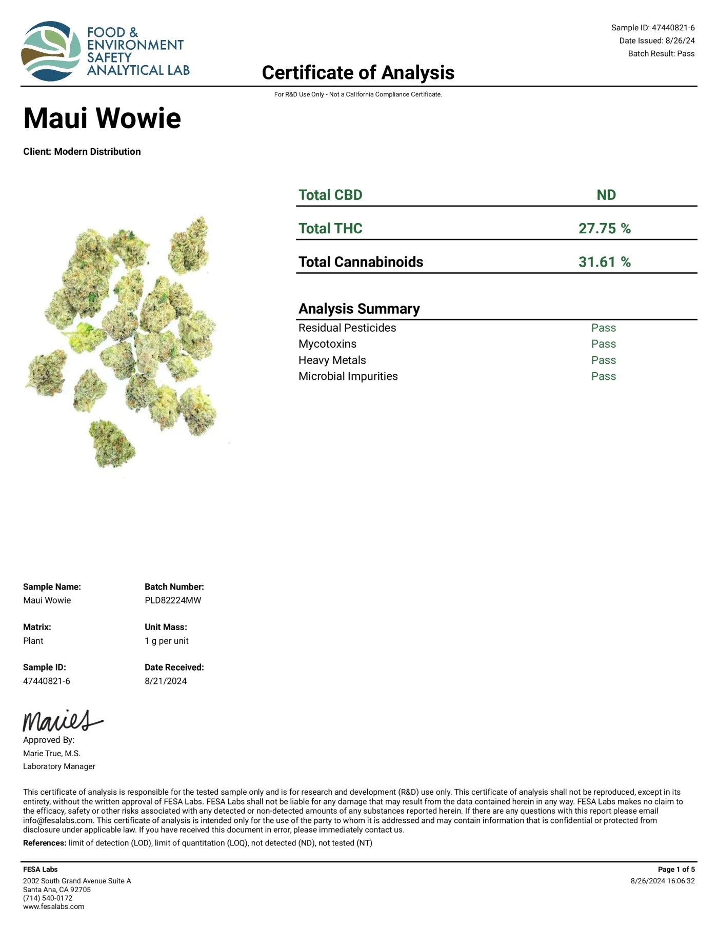 MAUI WOWIE BOUTIQUE THCA FLOWER - Sativa (8ct) - Tree Spirit Wellness