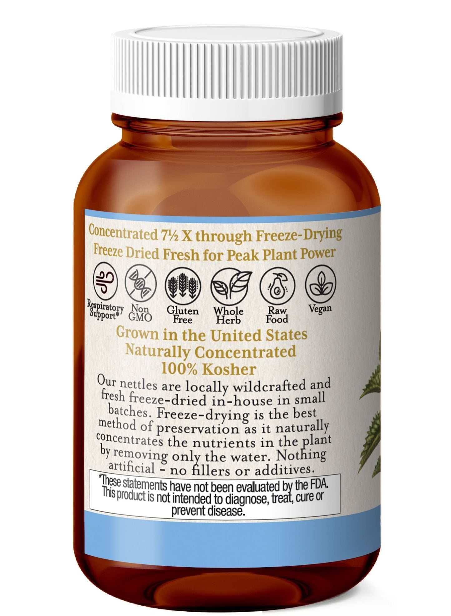 NETTLES LEAF CAPSULES - Tree Spirit Wellness