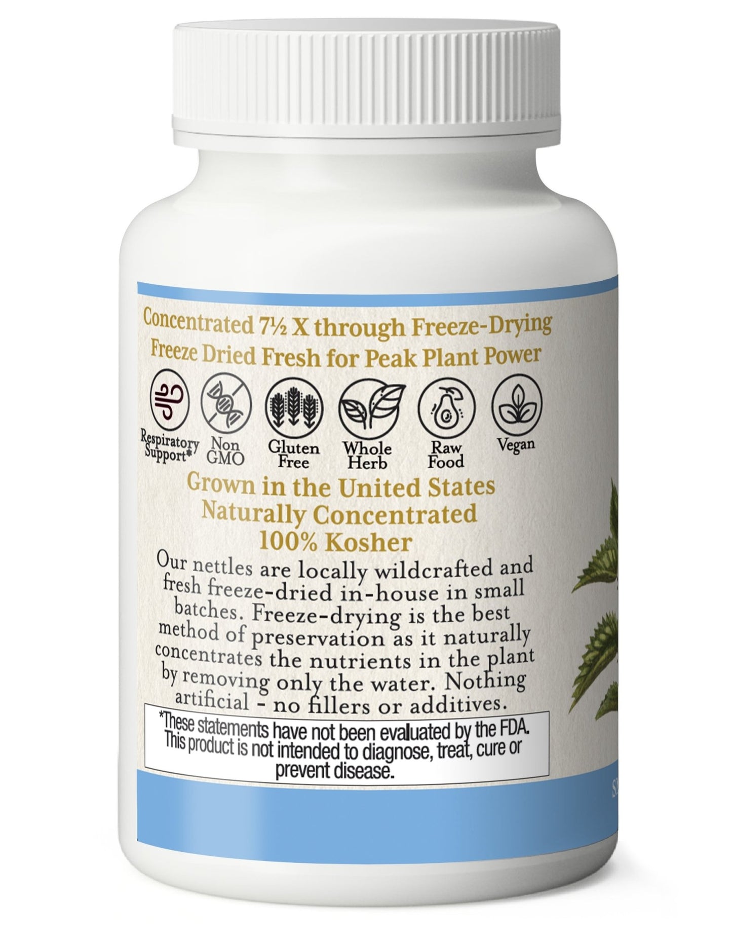 NETTLES LEAF CAPSULES - Tree Spirit Wellness