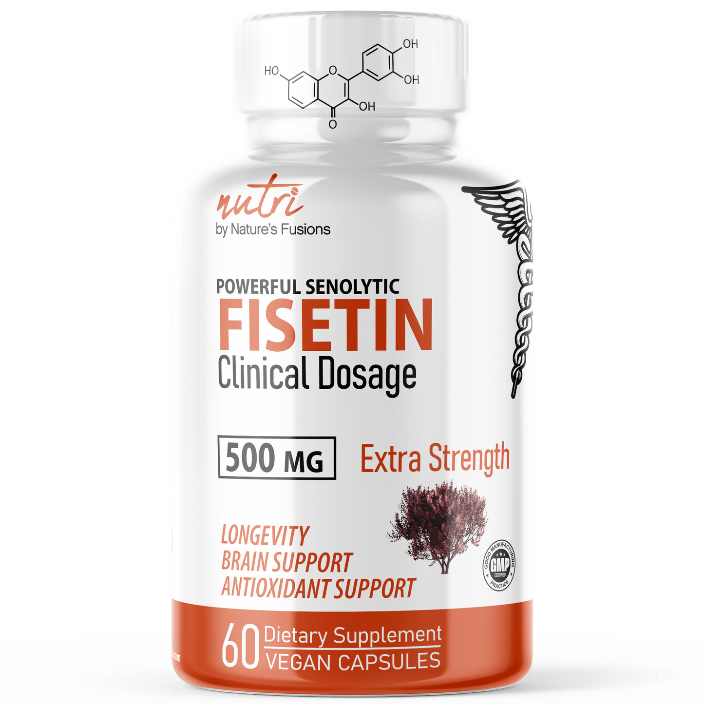 Fisetin 500 mg - 60ct - Tree Spirit Wellness