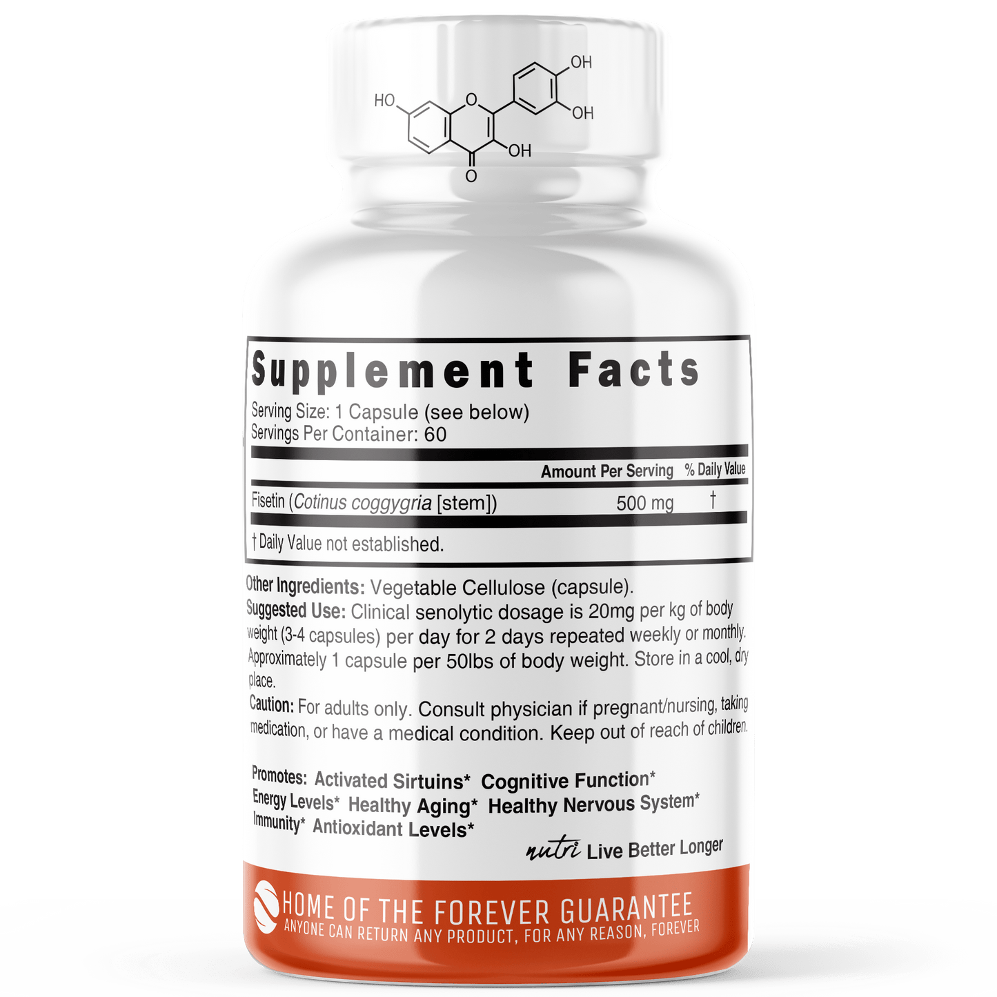 Fisetin 500 mg - 60ct - Tree Spirit Wellness