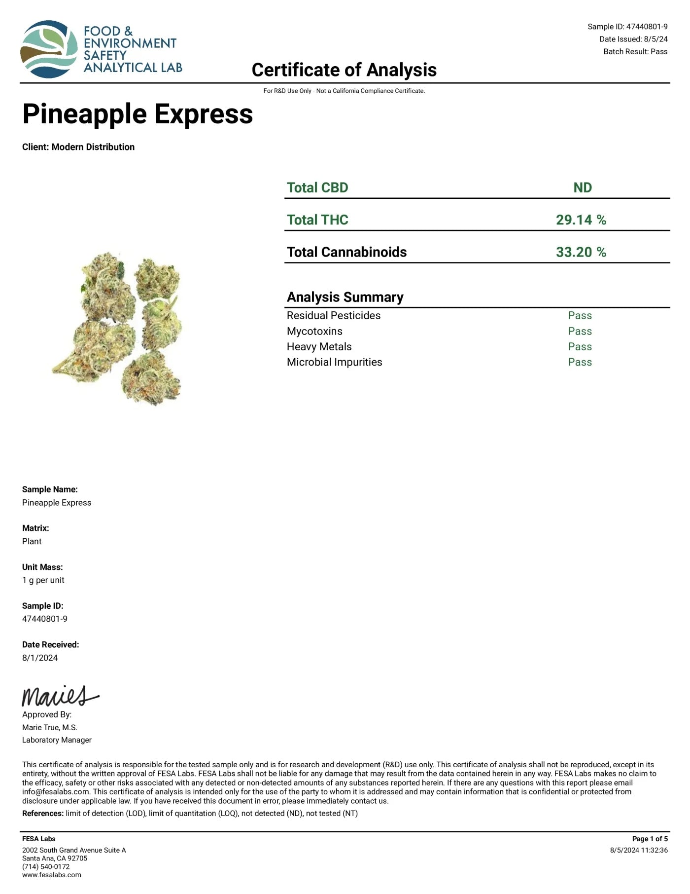PINEAPPLE EXPRESS EXOTIC THCA FLOWER - Sativa Hybrid (8ct) - Tree Spirit Wellness