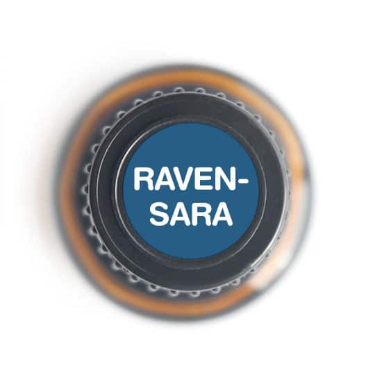 Ravensara Essential oil - Tree Spirit Wellness