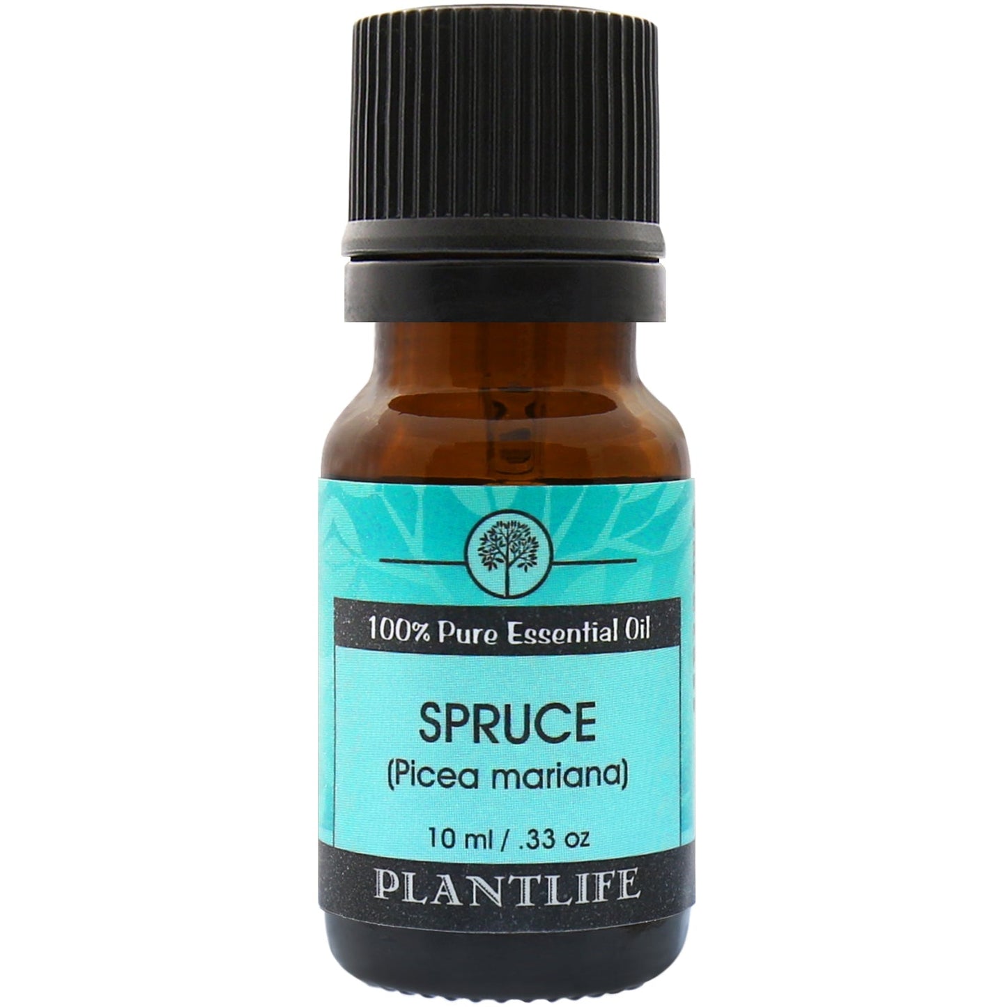 Spruce Essential Oil - Tree Spirit Wellness
