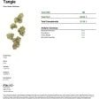 Tangie EXOTIC THCA FLOWER - Sativa Hybrid (8ct) - Tree Spirit Wellness
