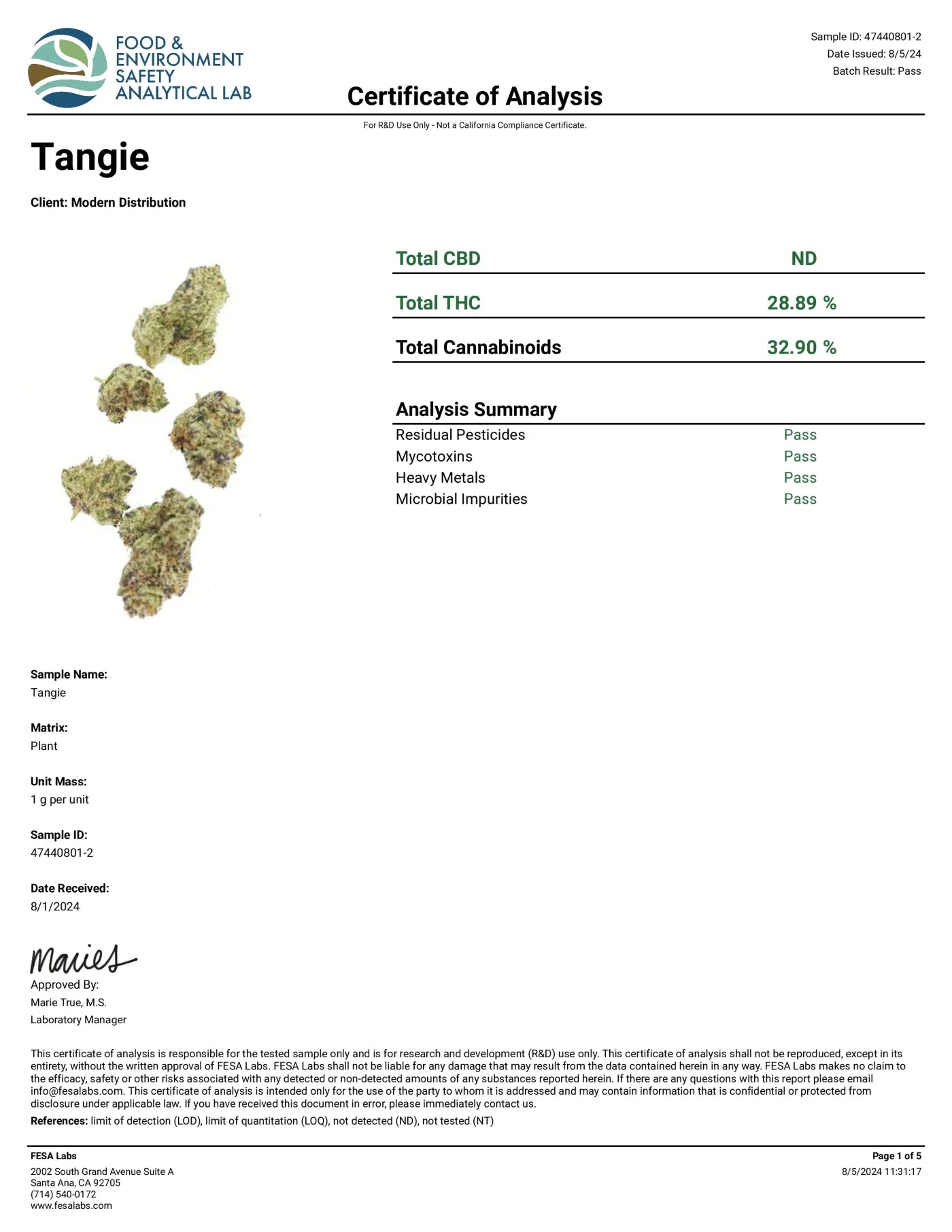 Tangie EXOTIC THCA FLOWER - Sativa Hybrid (8ct) - Tree Spirit Wellness