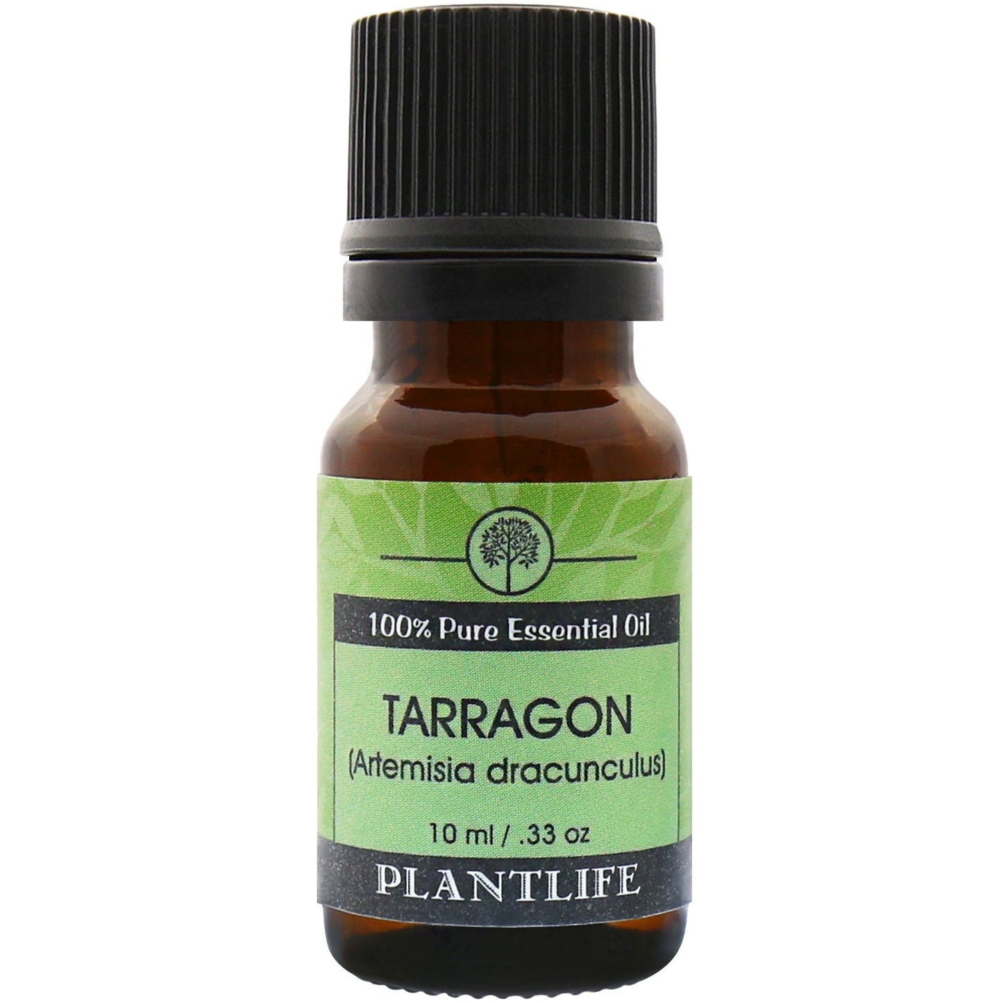 Tarragon Essential Oil - Tree Spirit Wellness