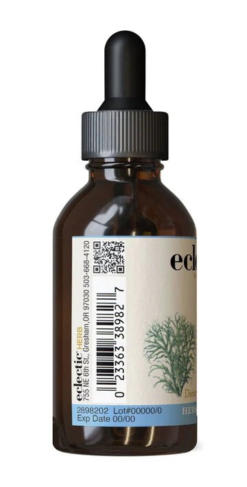 USNEA EXTRACT - Tree Spirit Wellness