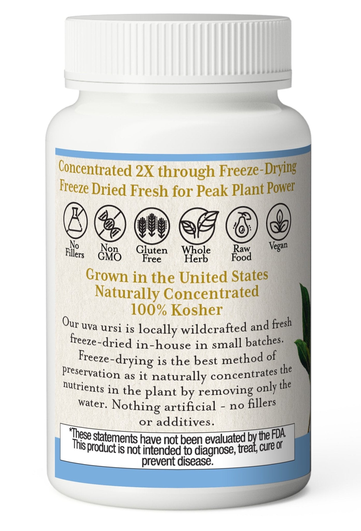 UVA URSI CAPSULES - Tree Spirit Wellness