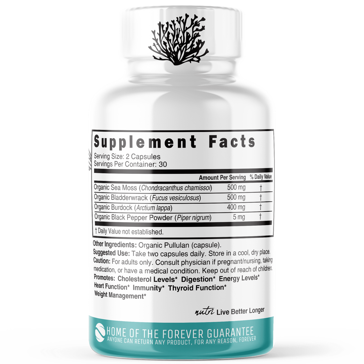 Sea Moss with Bladderwrack, Burdock & Black Pepper 1400mg - Tree Spirit Wellness