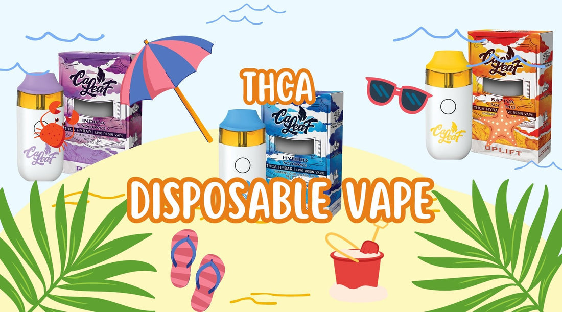 Caleaf Vape: Premium THCA Disposable Vape for Ultimate Relaxation - Tree Spirit Wellness