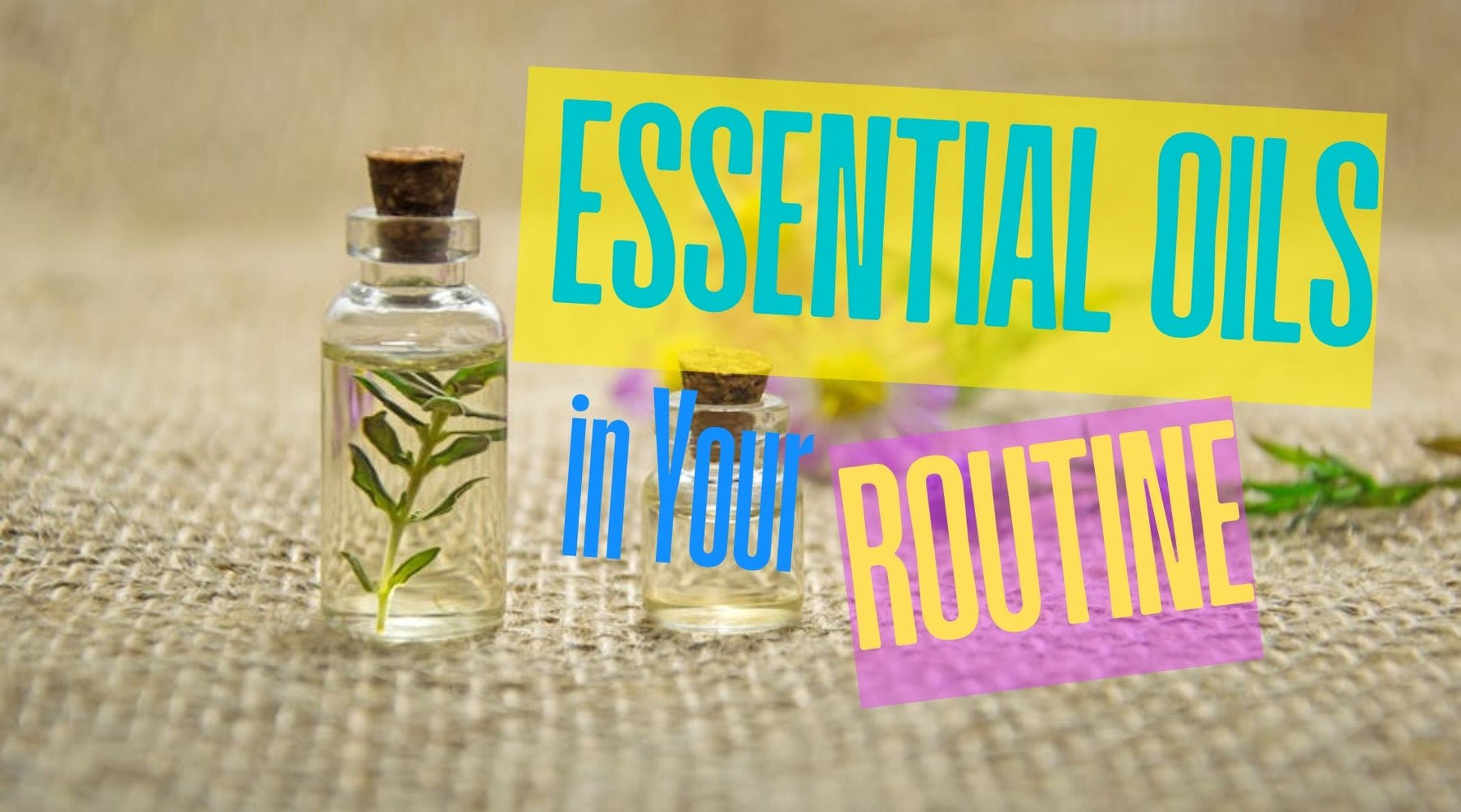 Discovering the Power of: Essential Oils in Your Routine - Tree Spirit Wellness 