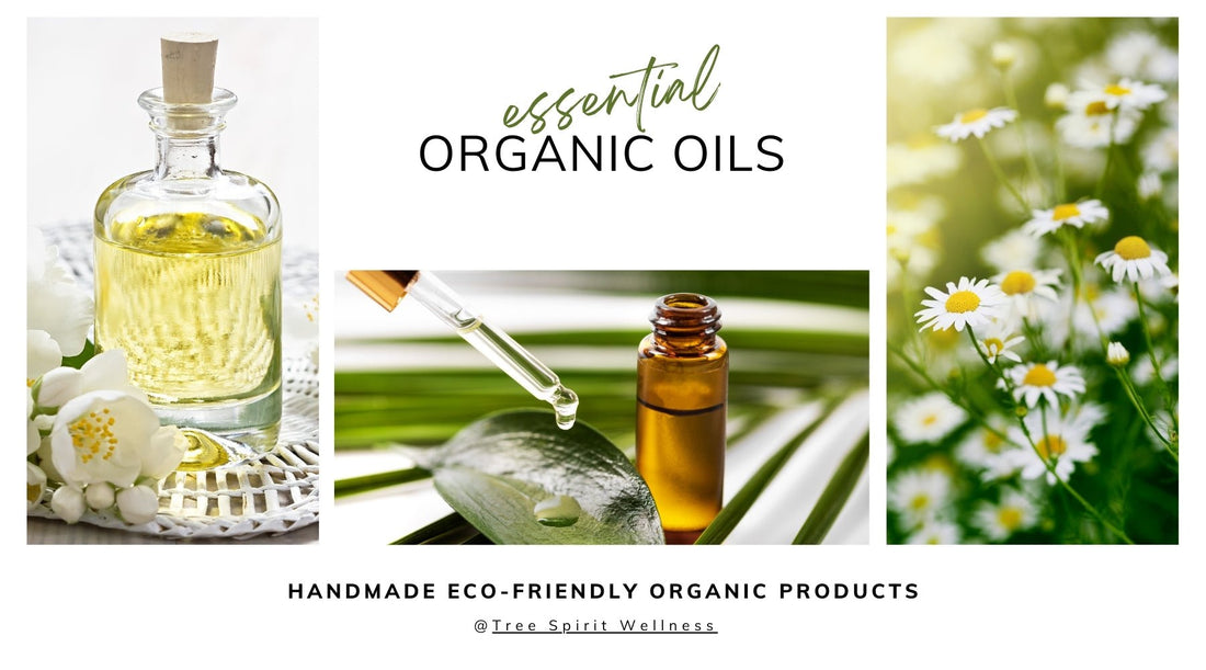 🌿 Essential Oils: Nature’s Healing Power for Mind, Body & Soul 🌿 - Tree Spirit Wellness