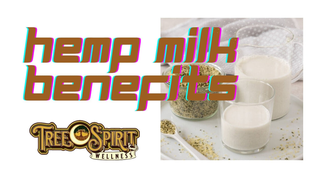 Hemp Milk Benefits: A Nutrient-Packed Superfood for Health & Wellness 🌿🥛 - Tree Spirit Wellness