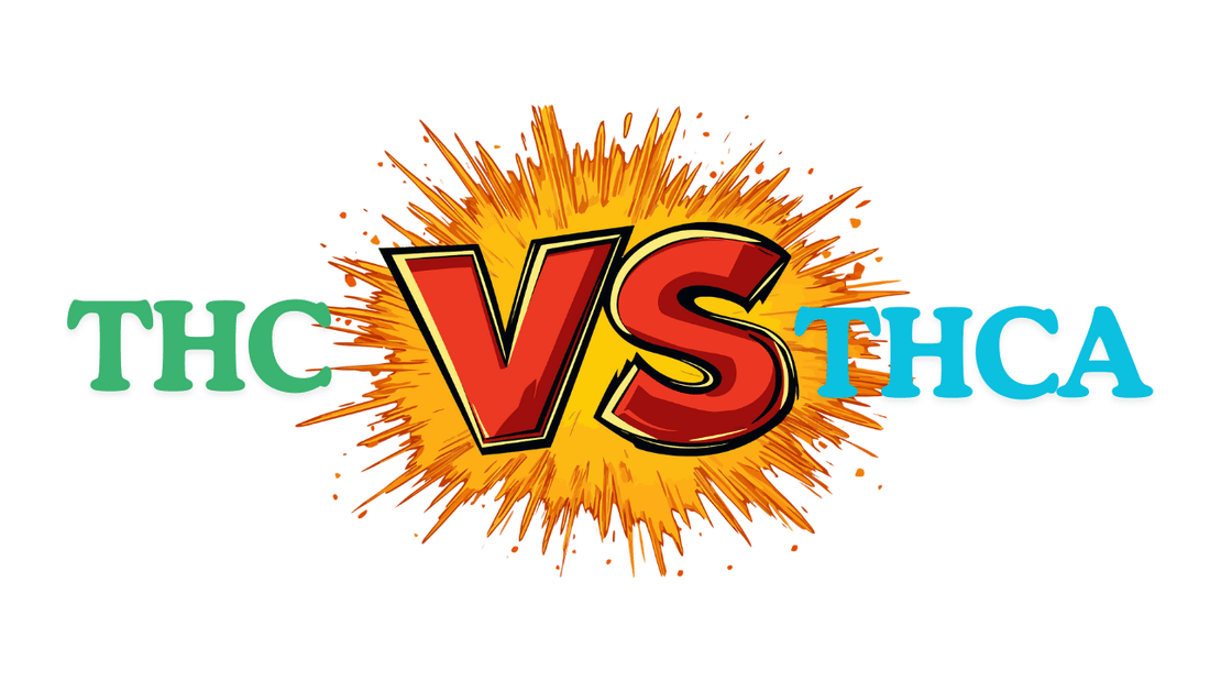 THC vs. THCA: Understanding the Critical Differences 🌿 - Tree Spirit Wellness