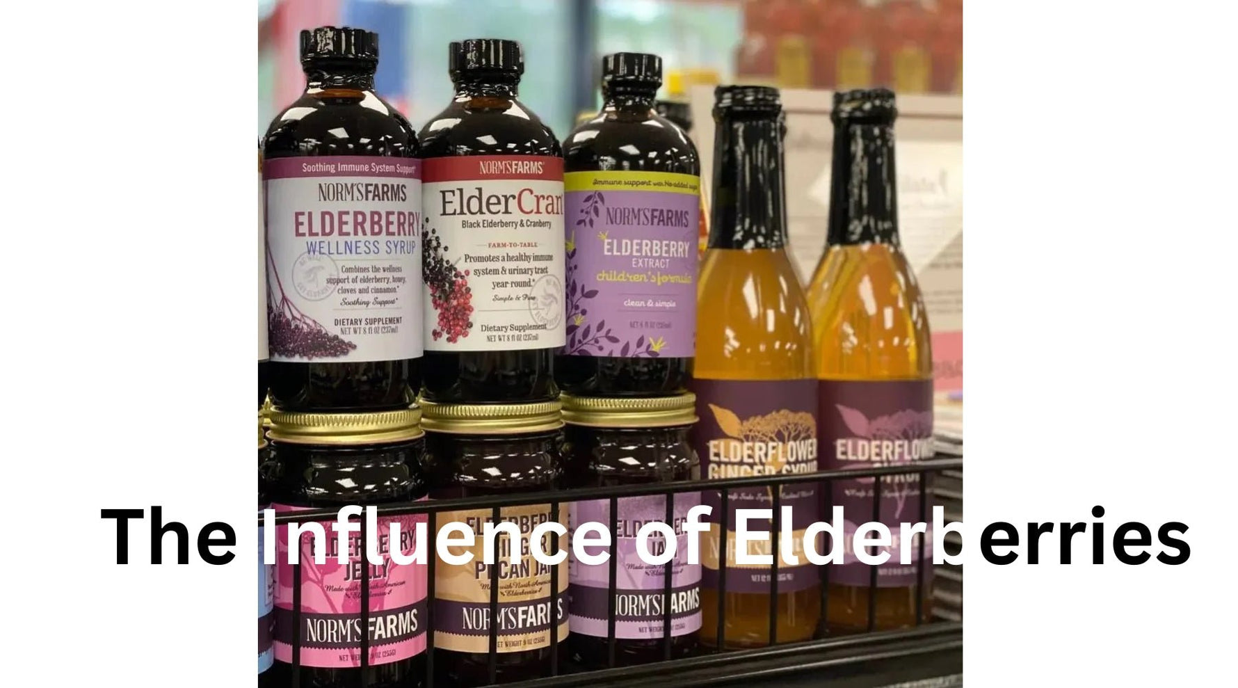 The Influence of Elderberries: Products from Norm's Farms Shine in the Wholesale Marketplace of Tree Spirit Wellness - Tree Spirit Wellness 