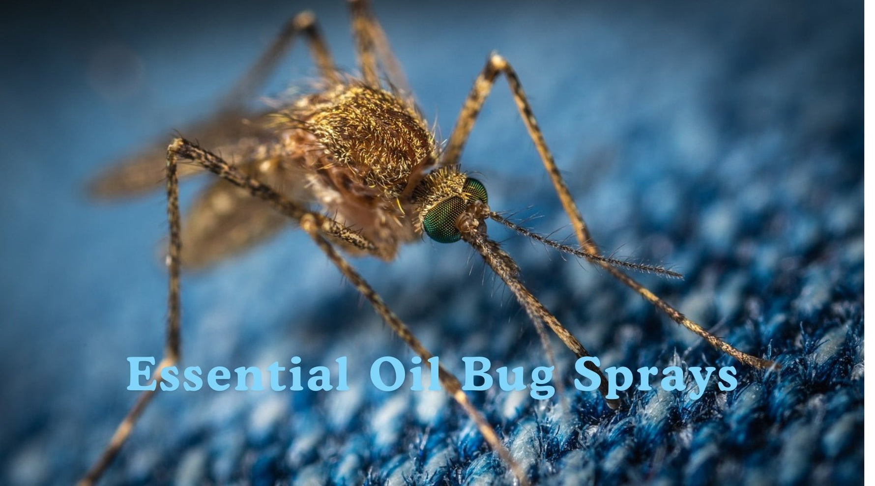 The Ultimate Guide to Essential Oil Bug Sprays: Why Lemongrass Leads the Pack! - Tree Spirit Wellness 