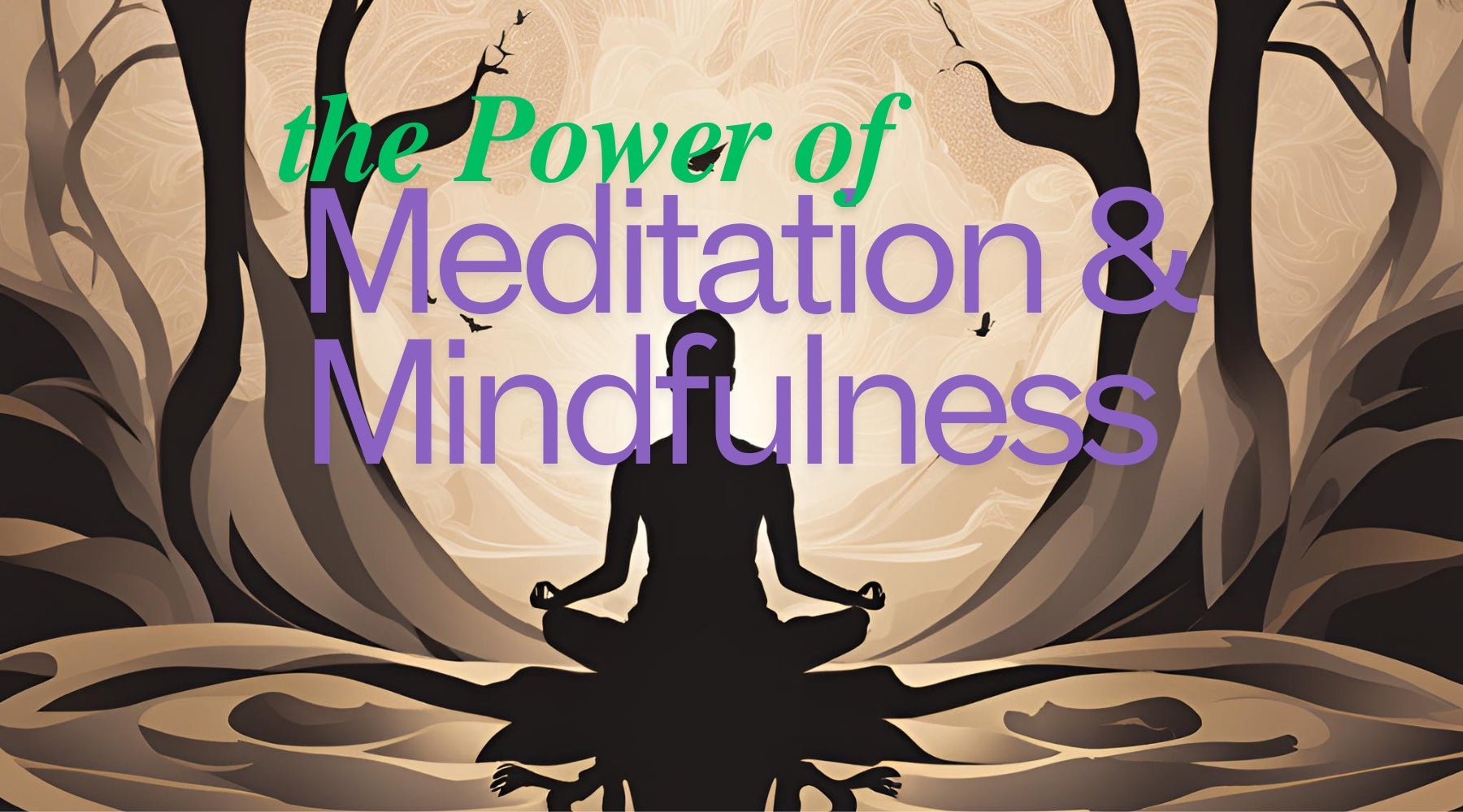 Understanding the Power of Meditation and Mindfulness - Tree Spirit Wellness 