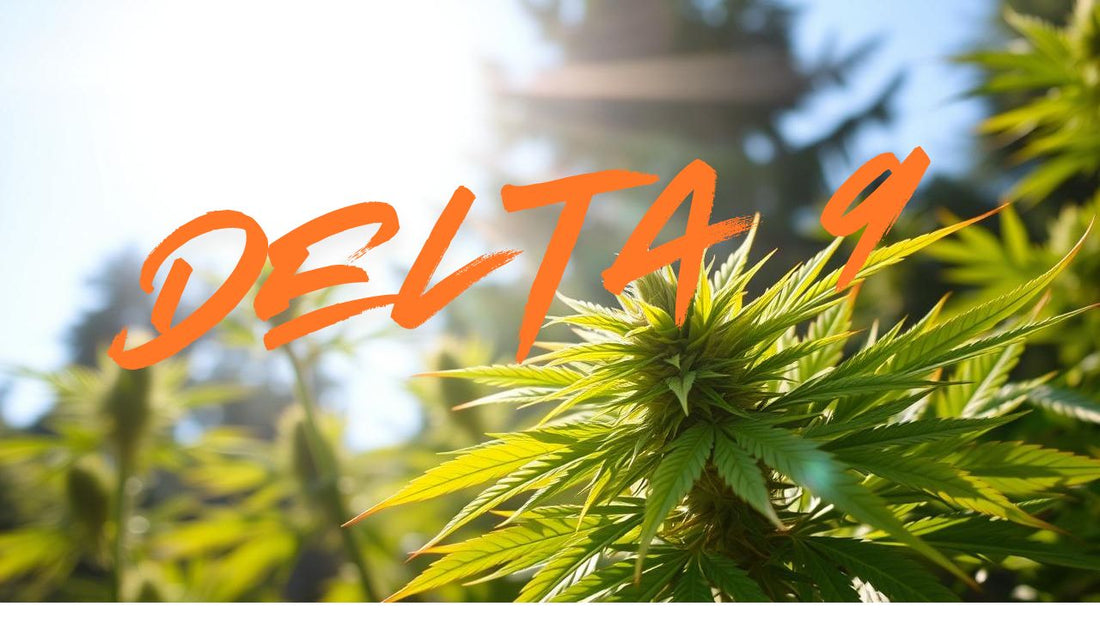 What is Delta-9 THC? The Definitive Guide 🌿 - Tree Spirit Wellness