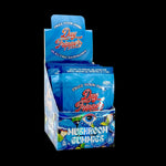 10ct Raspberry Mushroom Gummies Case of 10 - Tree Spirit Wellness