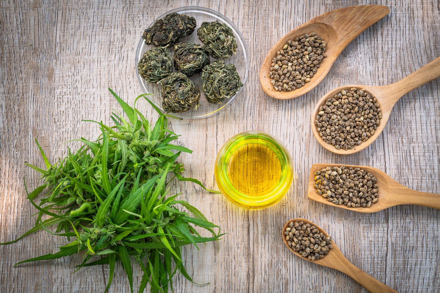 hemp seeds and oils