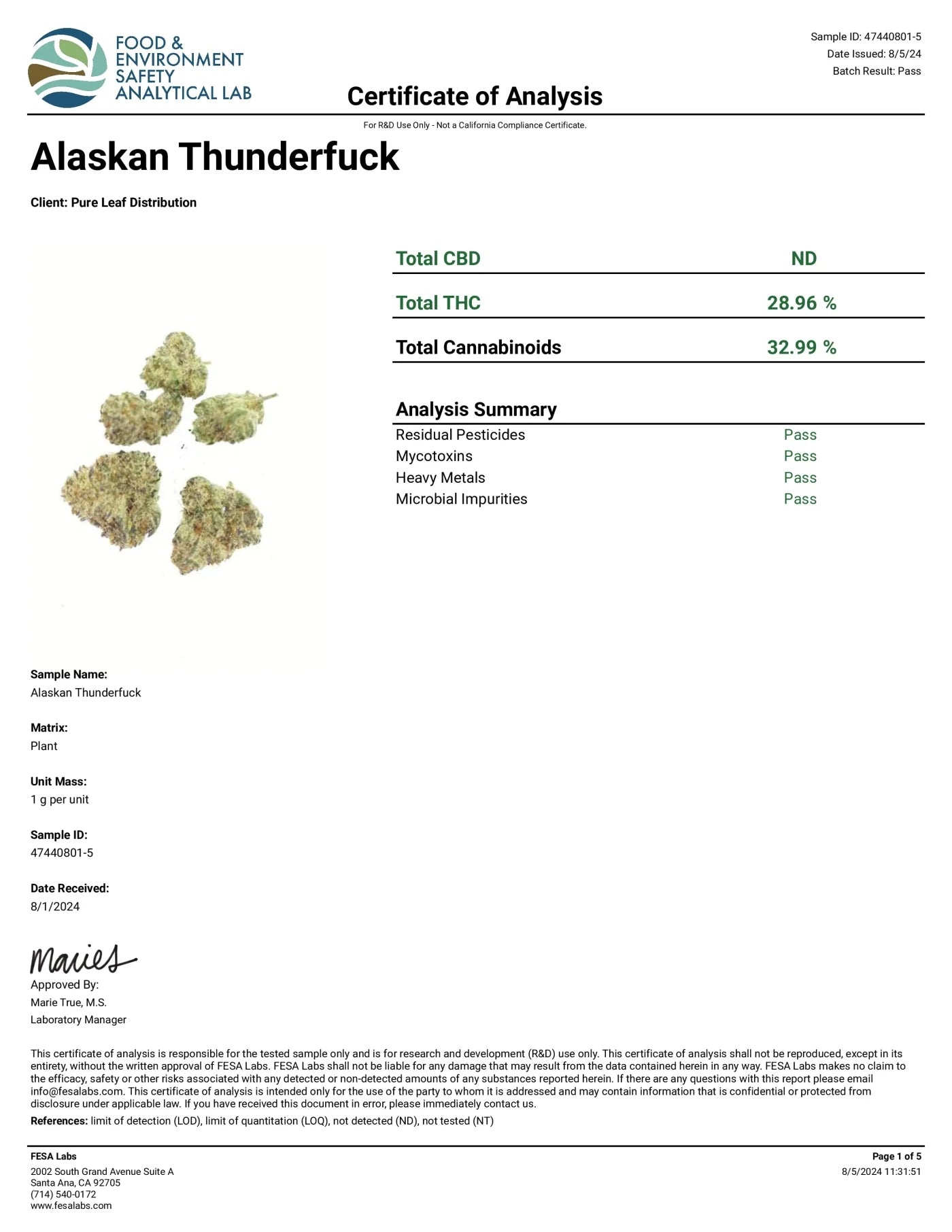ALASKAN THUNDER F**K EXOTIC THCA FLOWER - Sativa (8ct) - Tree Spirit Wellness