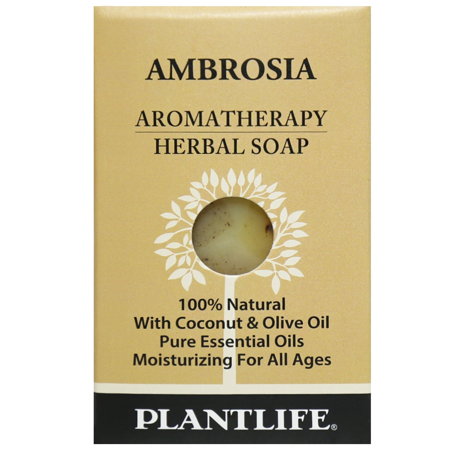 Ambrosia Soap Sample - Tree Spirit Wellness