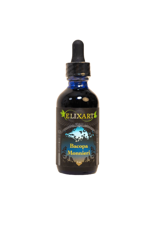 Bacopa Monnieri - Tree Spirit Wellness