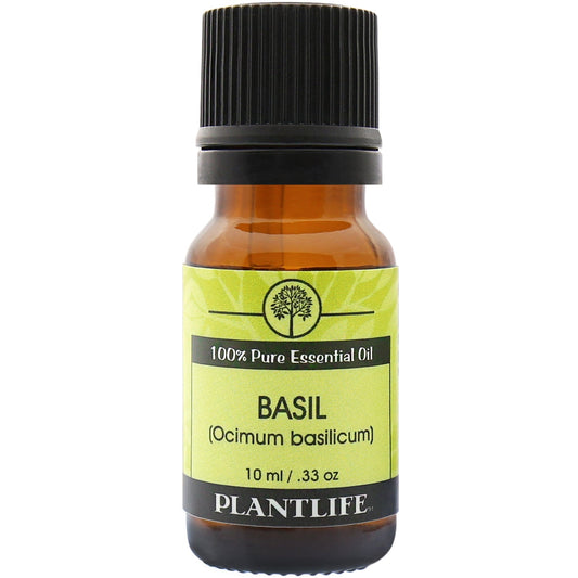 Basil Essential Oil - Tree Spirit Wellness